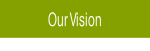 Our Vision.